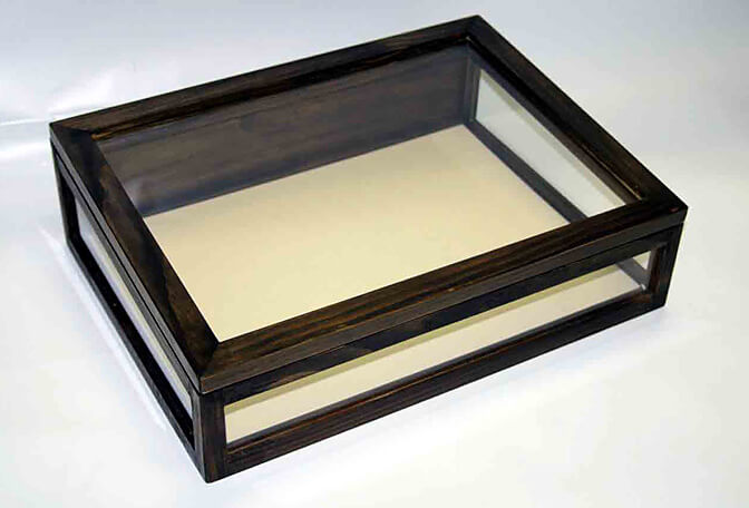 コレクターズショーケース